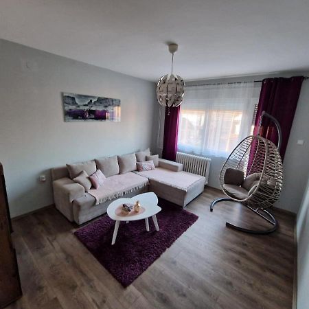 Grey & Sunny Apartments Zaječar Extérieur photo