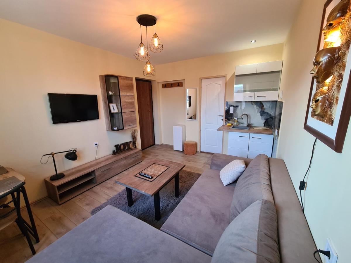 Grey & Sunny Apartments Zaječar Extérieur photo