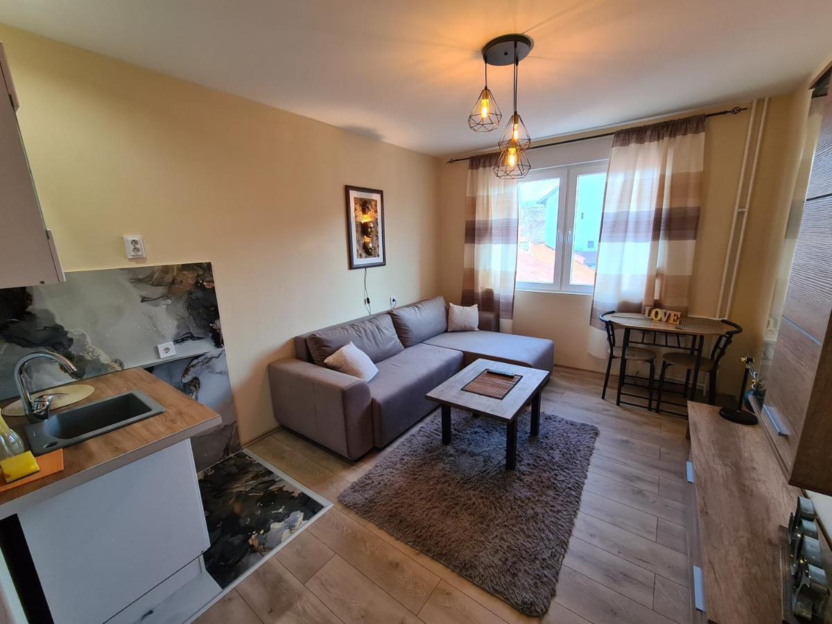 Grey & Sunny Apartments Zaječar Extérieur photo