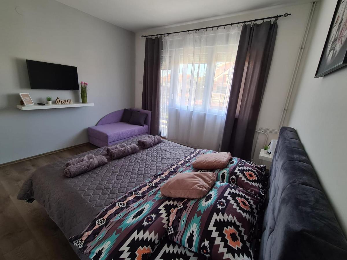 Grey & Sunny Apartments Zaječar Extérieur photo
