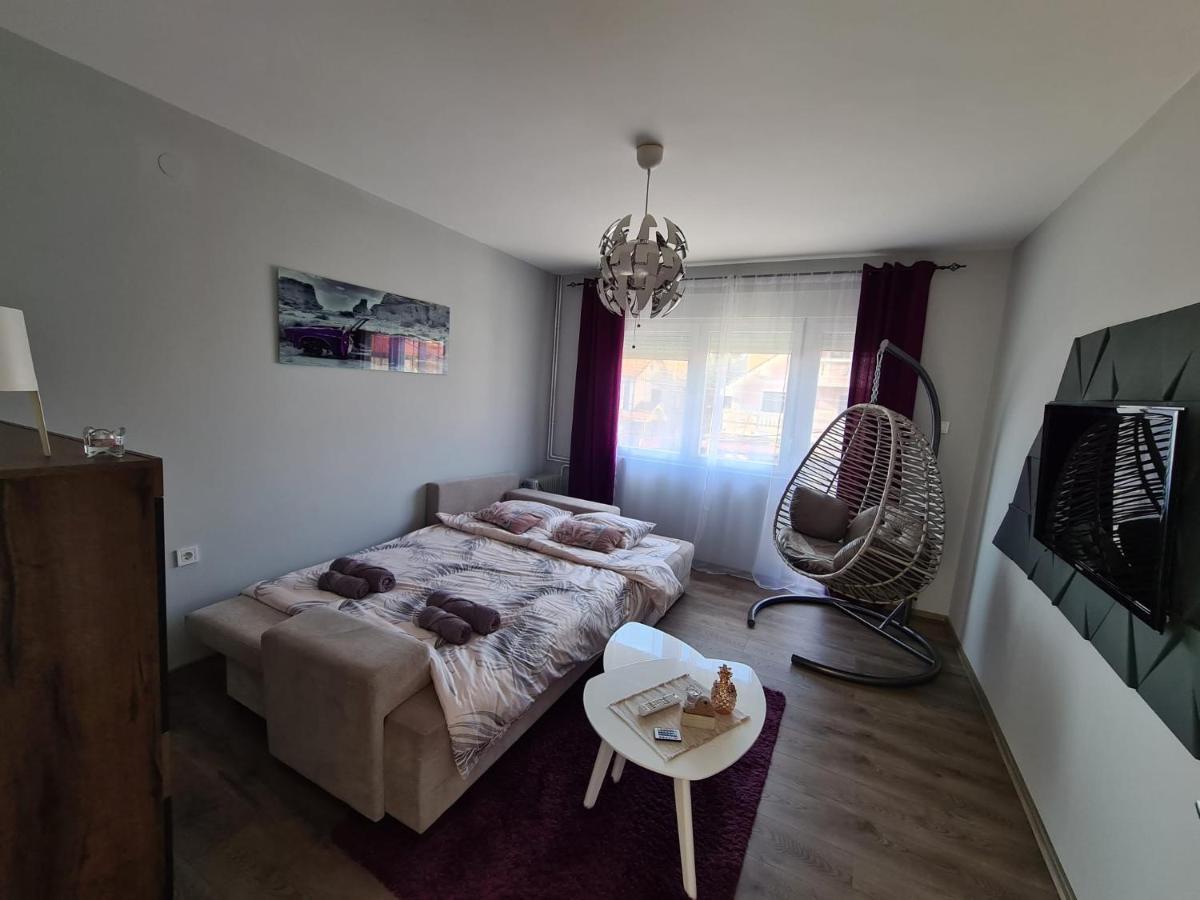 Grey & Sunny Apartments Zaječar Extérieur photo