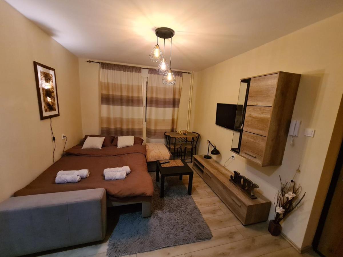 Grey & Sunny Apartments Zaječar Extérieur photo