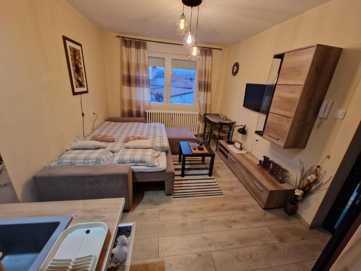 Grey & Sunny Apartments Zaječar Extérieur photo