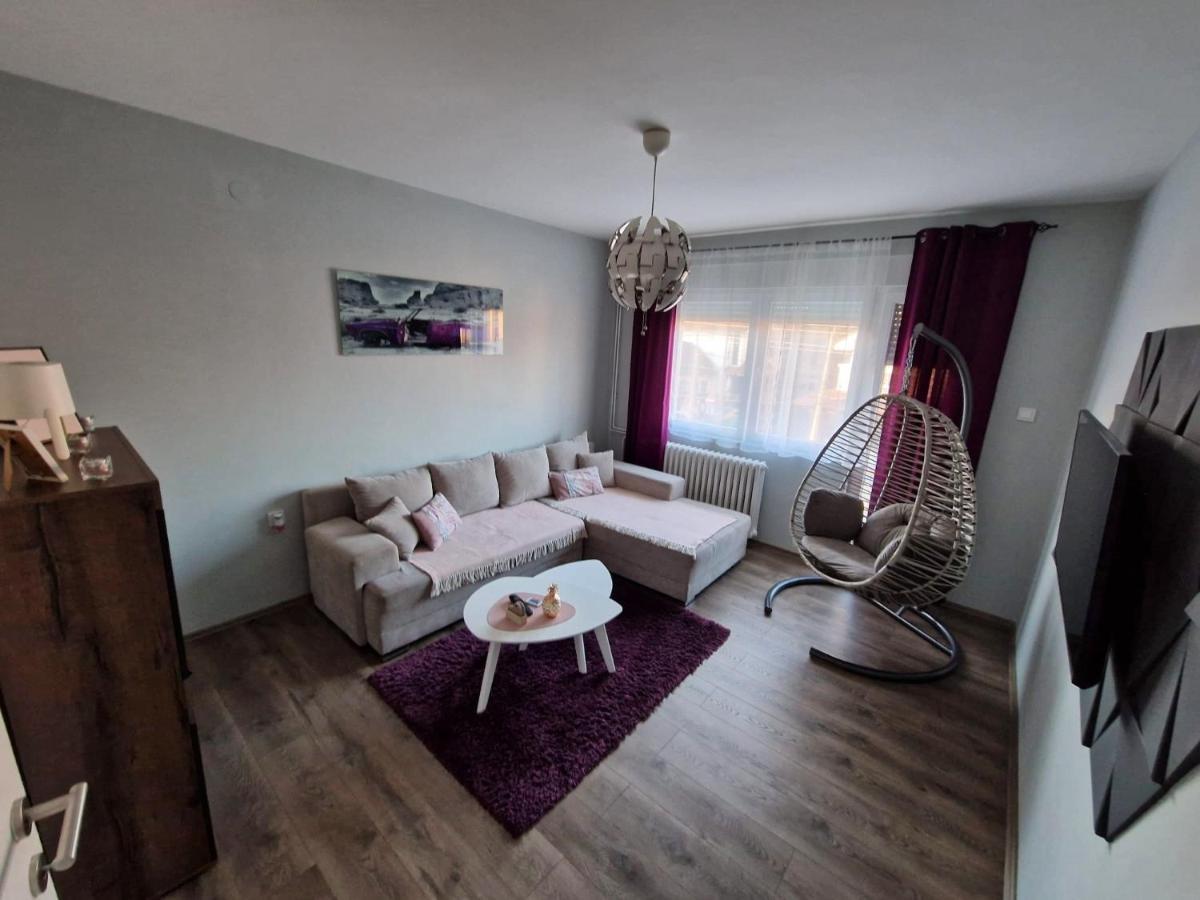 Grey & Sunny Apartments Zaječar Extérieur photo