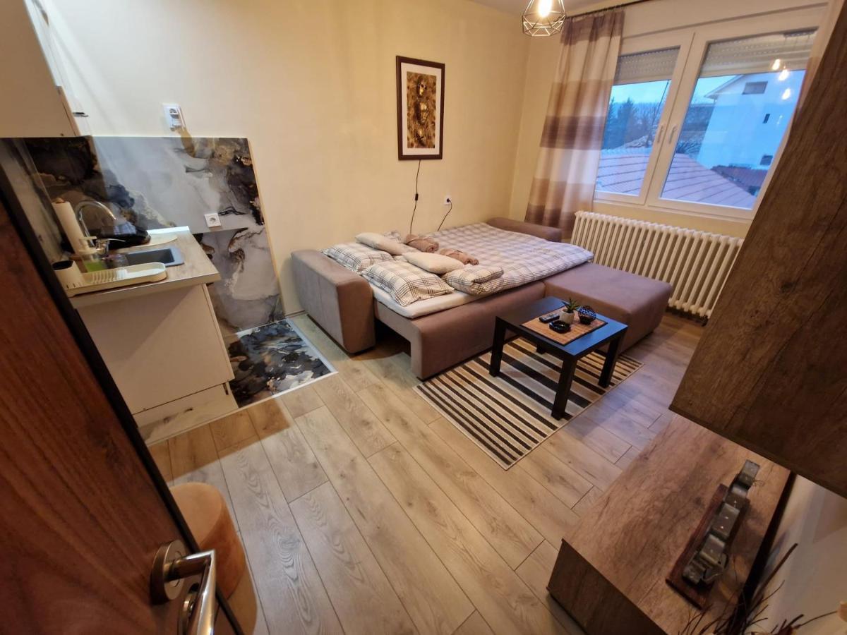 Grey & Sunny Apartments Zaječar Extérieur photo