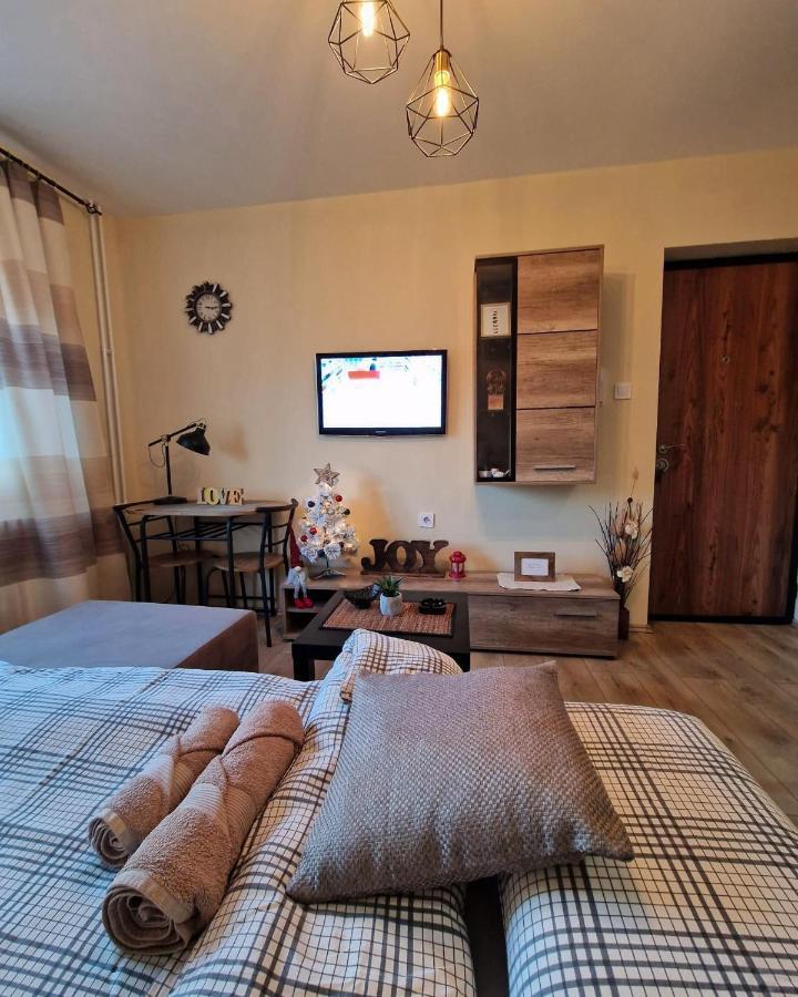 Grey & Sunny Apartments Zaječar Extérieur photo